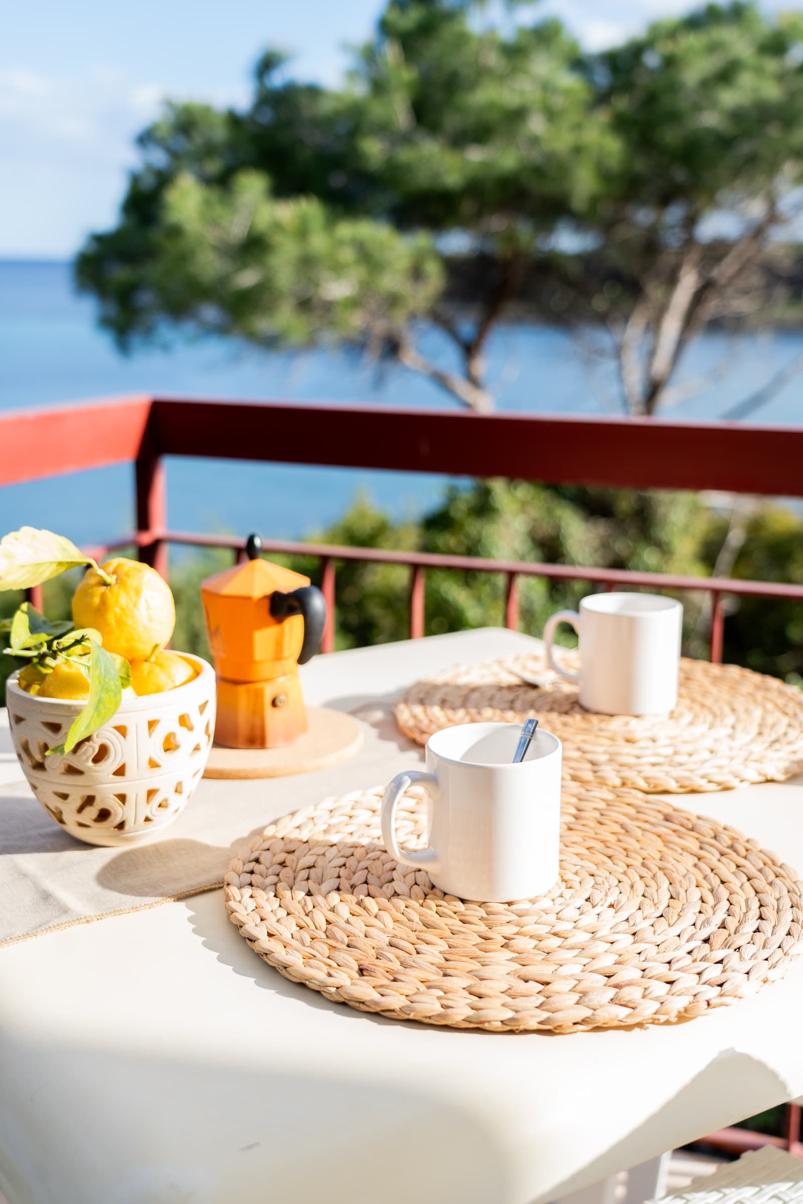 Villa Fresia, appartamento est con terrazza 