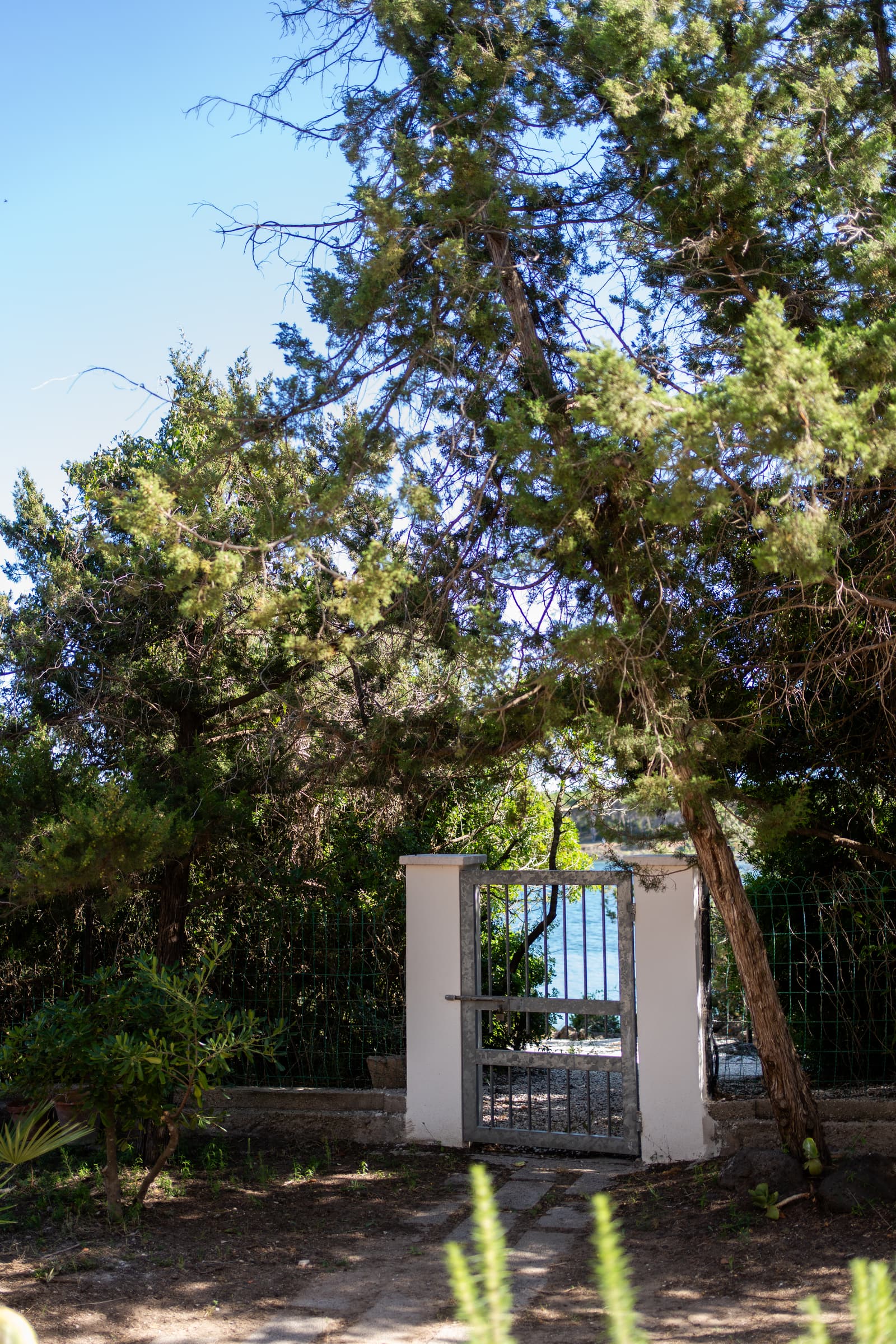 Villa Fresia, piano terra con giardino sul mare - Thumbnail 5